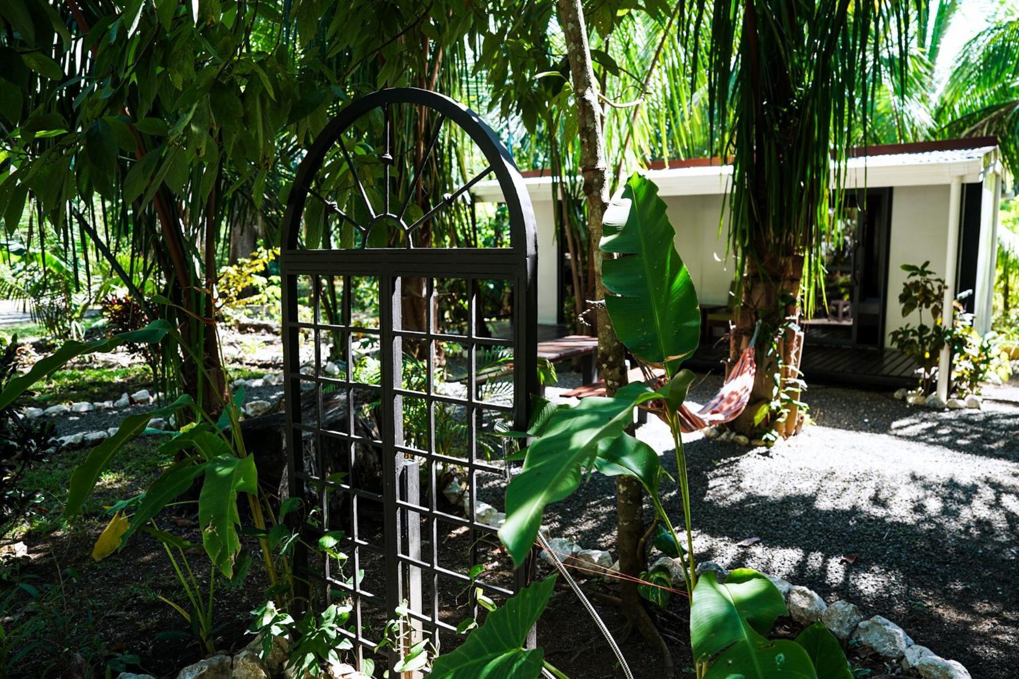 House In The Palm Forest Puerto Carrillo Exterior foto