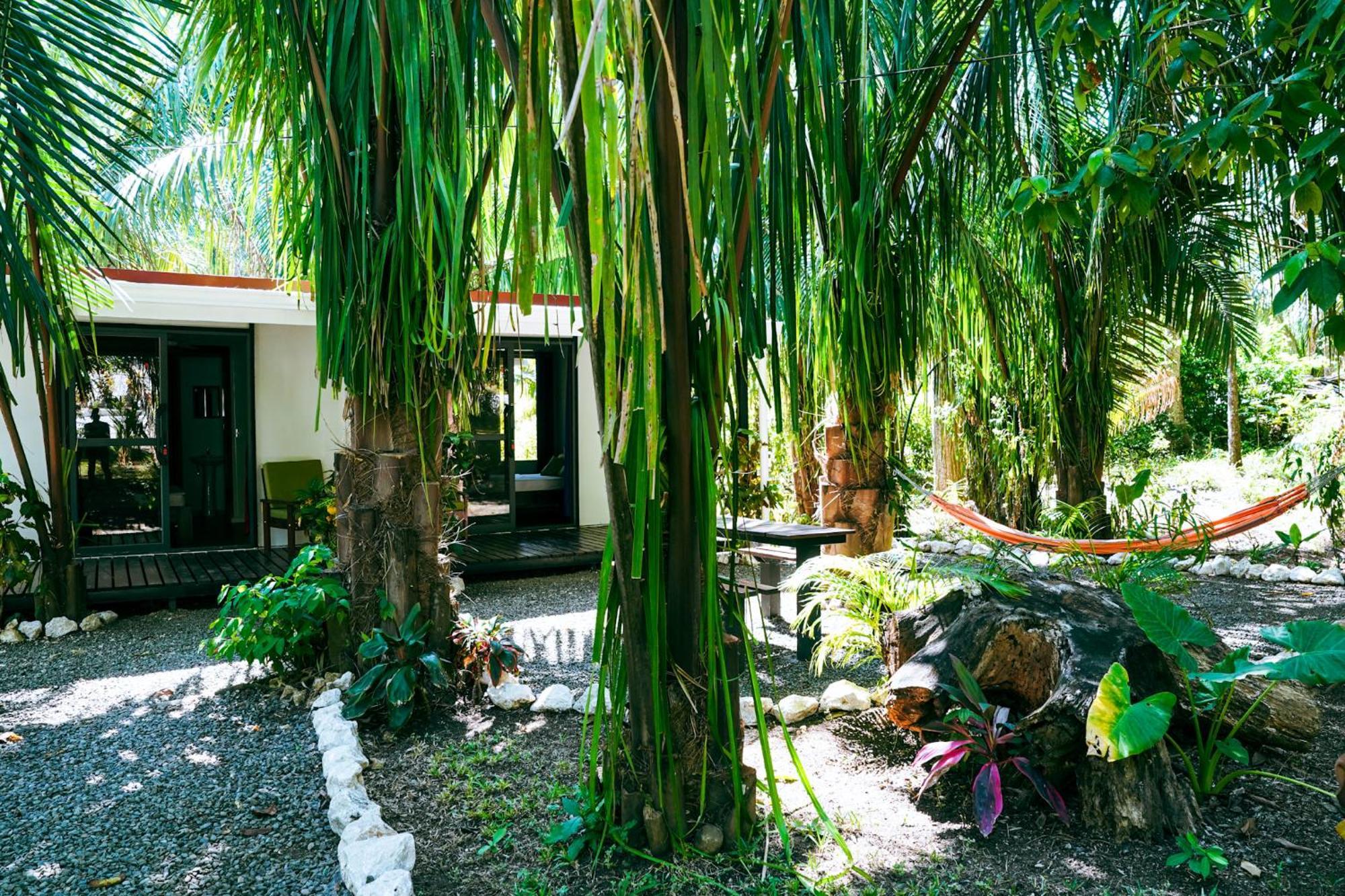 House In The Palm Forest Puerto Carrillo Exterior foto