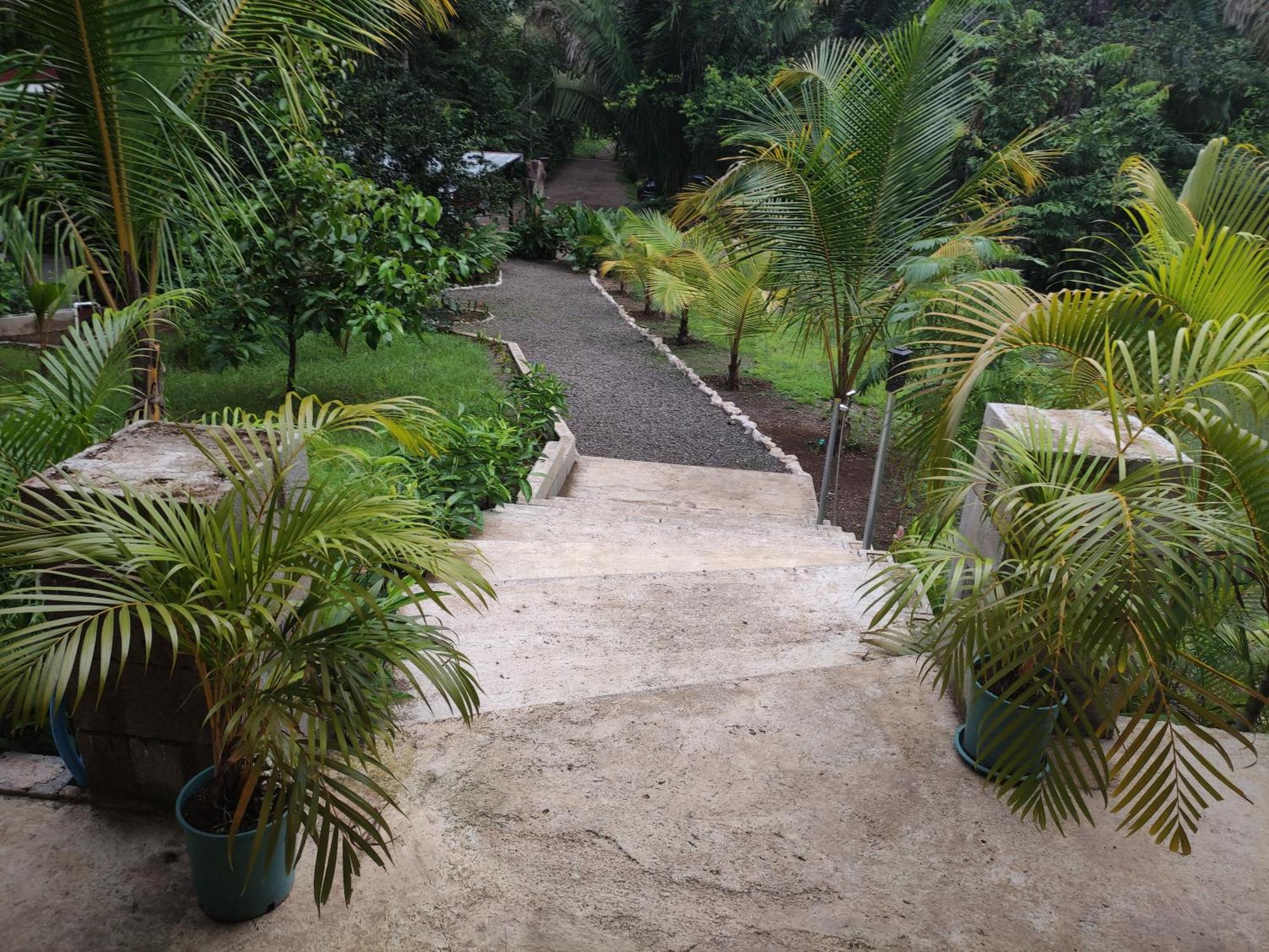 House In The Palm Forest Puerto Carrillo Exterior foto